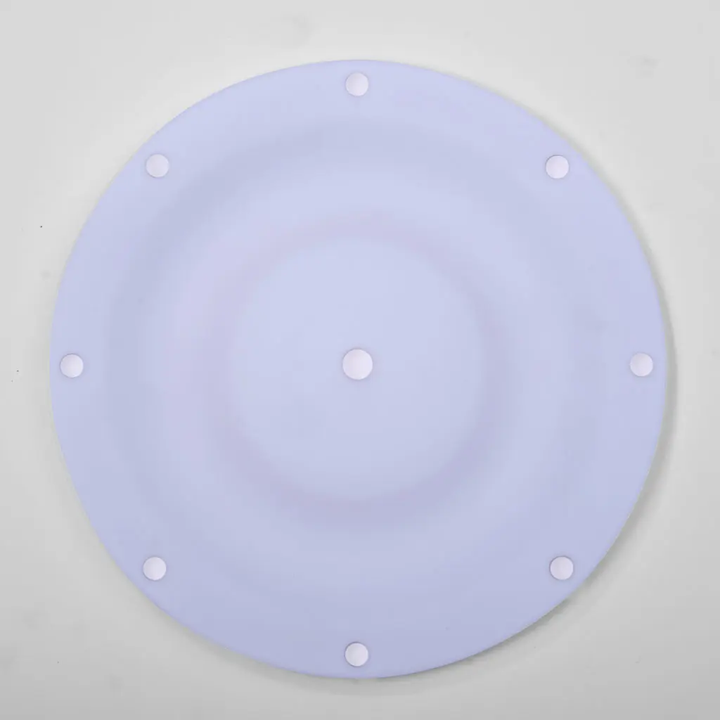 11-Diaphragm-PTFE-Backup_01.webp