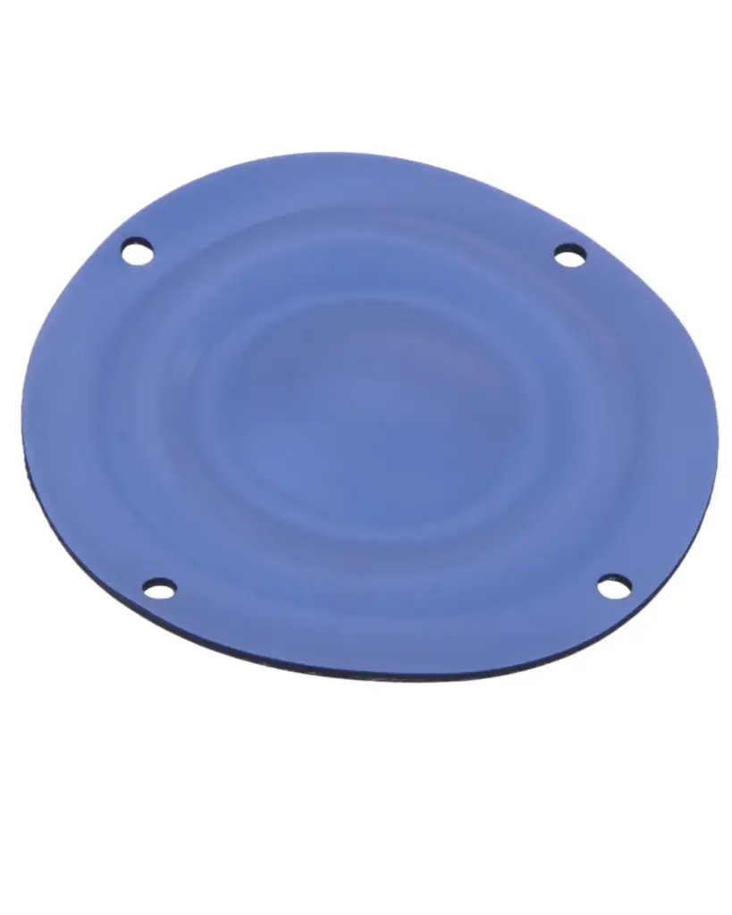 DIAPHRAGM PTFE (1 10 5005)