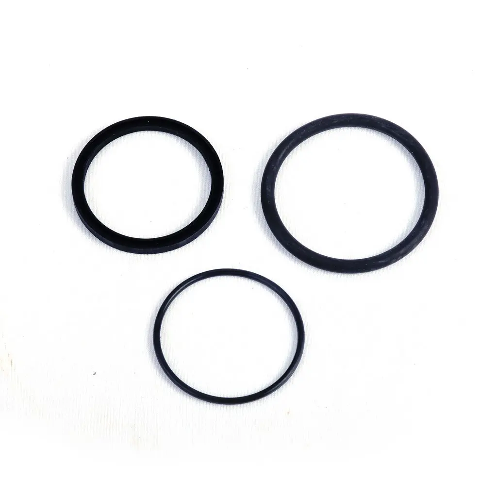 SEALING INLET/ OUTLET SET (2 25 73 16)