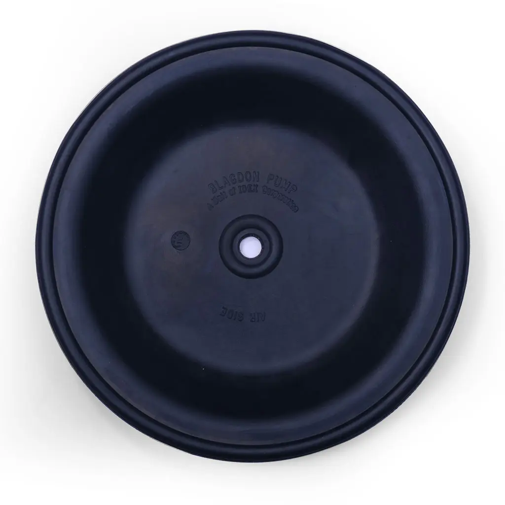 DIAPHARGM VITON 2" (1B-003)