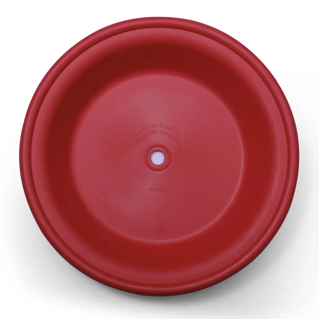 DIAPHARGM BACKUP 1/2" (1H-011)