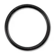 0-RING VITON FDA IPP