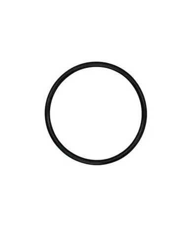 0.25" P.025 Encapsulated Manifold O-Ring (PTFE/Viton)