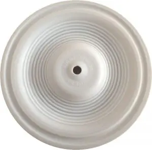 Primary Diaphragm (PTFE)