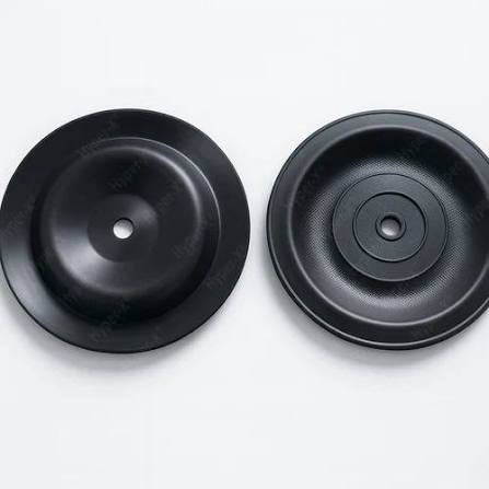 Back-Up Diaphragm (Viton Rubber)