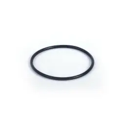 UPPER SEAL O-RING (2 25 78 04)