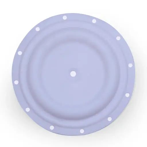 [1B-039] DIAPHRAGM TEFLON - 2" (1B-039)