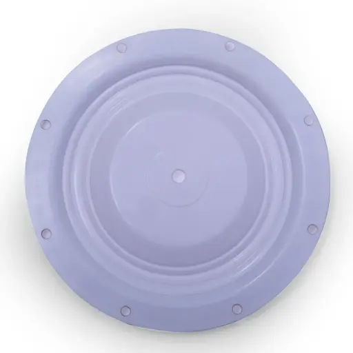 [286.098.604] DIAPHRAGM PTFE - 3" (286.098.604)