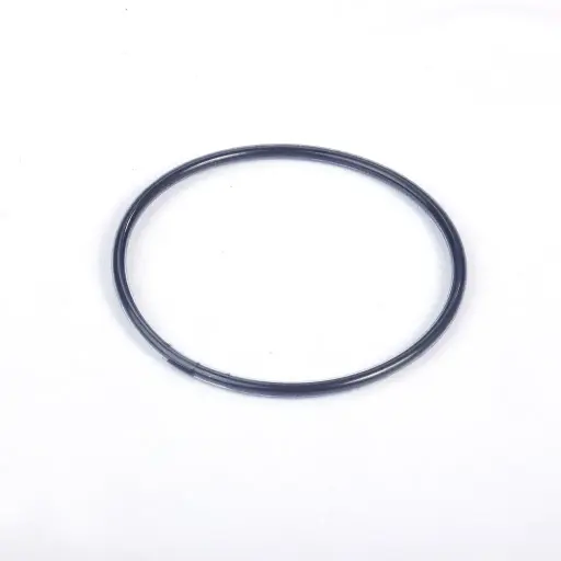 [2 50 70 04] O-RING INLET/ OUTLET FFKM (2 50 70 04)