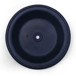 DIAPHARGM VITON 2" (1B-003)