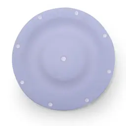 DIAPHARGM PTFE 3" (286.078.600)