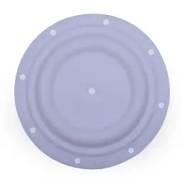 DIAPHARGM TEFLON 1/4" (06-141)