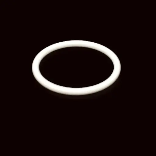 [G-416] O-RING PTFE (G-416)