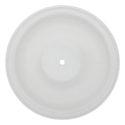 Diaphragm Primary PTFE