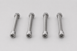 Air Valve Bolt