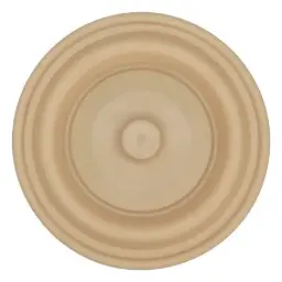 DIAPHRAGM, PRIMARY, FSIPD